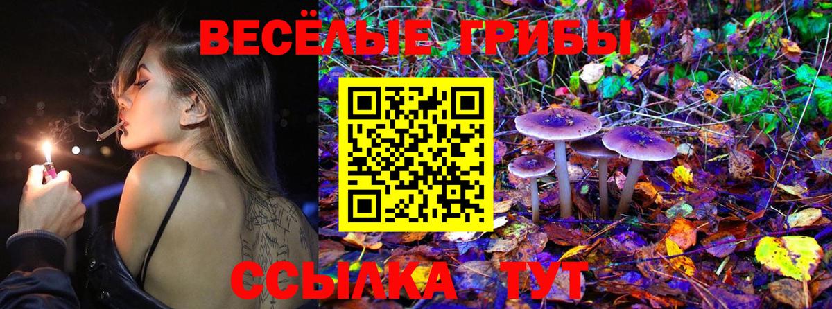 Псилоцибиновые грибы MAGIC MUSHROOMS Чапаевск